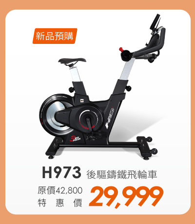 H973 後驅鑄鐵飛輪車